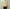 barbell object 「bo-06nn01 knit po / yellow」