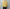barbell object 「bo-06nn01 knit po / yellow」