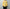 barbell object 「bo-06nn01 knit po / yellow」