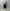 CAMIEL FORTGENS 「CF.20.01.02.02 BIG TEE LS REALTREE CAMO」