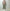 AURALEE 「AIRY LIGHT COTTON CHECK BIG SHIRT / BROWN GINGHAM CHECK」