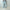 AURALEE 「FADED SELVEDGE LIGHT DENIM PANTS / LIGHT INDIGO」