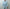 AURALEE 「FADED SELVEDGE LIGHT DENIM BLOUSON / LIGHT INDIGO」