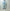 AURALEE 「FADED SELVEDGE LIGHT DENIM PANTS / LIGHT INDIGO」