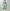 AURALEE 「FADED SELVEDGE LIGHT DENIM WIDE PANTS / LIGHT INDIGO」