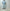 AURALEE 「FADED SELVEDGE LIGHT DENIM WIDE PANTS / LIGHT INDIGO」