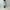 ESSAY「P-2 : 3TUCKED CROP SHORT PANTS / IVORY GRAY」