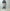 ESSAY「P-2 : 3TUCKED CROP SHORT PANTS / IVORY GRAY」