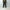 AURALEE「BABY CAMEL FLANNEL TWO-TUCK SLACKS / DARK OLIVE」