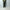 AURALEE「BABY CAMEL FLANNEL TWO-TUCK SLACKS / DARK OLIVE」