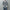 NAM「#MAN-107 CREW FIRE CAMO / OFF」