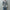 NAM「#MAN-107 CREW FIRE CAMO / OFF」
