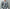 NAM「#MAN-107 CREW FIRE CAMO / OFF」