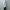 AURALEE 「WASHED FINX TWILL SLIM SHIRT / LIGHT BLUE」