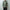 AURALEE 「WASHED FINX TWILL SLIM SHIRT / DARK OLIVE」