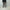 AURALEE 「SUPER LIGHT WOOL TWO-TUCK SLACKS / TOP BROWN」