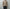 AURALEE「LOW-GAUGE HOMESPUN TWEED KNIT P/O - TOP BROWN」