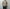 AURALEE「LOW-GAUGE HOMESPUN TWEED KNIT P/O - TOP BROWN」