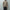 AURALEE「LOW-GAUGE HOMESPUN TWEED KNIT ZIP TURTLE / TOP BROWN」