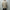 AURALEE「REVERSIBLE WOOL TWISTED TWILL / SHEEP LEATHER HALF COAT - KHAKI BEIGE CHAMBRAY × BLACK」