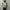 AURALEE「REVERSIBLE WOOL TWISTED TWILL / SHEEP LEATHER HALF COAT - KHAKI BEIGE CHAMBRAY × BLACK」
