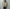 AURALEE「REVERSIBLE WOOL TWISTED TWILL / SHEEP LEATHER HALF COAT - KHAKI BEIGE CHAMBRAY × BLACK」