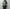 AURALEE「CASHMERE CHECK LONG STOLE / MOSS GREEN CHECK」