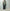 AURALEE「CASHMERE CHECK LONG STOLE / MOSS GREEN CHECK」