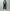T.T 「LOT.615 FULL ZIP SWEAT PARKA / GRAY」
