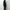 barbell object 「bo-05c03 bo ls tn (loose) / black」